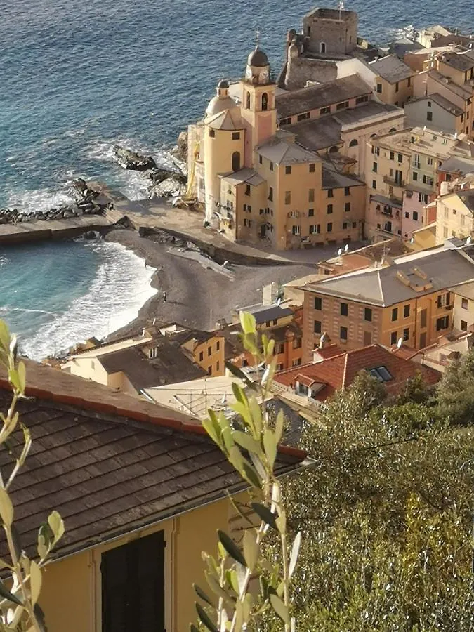 Villa Taro Santa Maria del Taro 0*,  إيطاليا